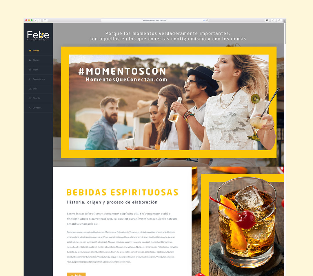 imagen de portfolio diseño web febe