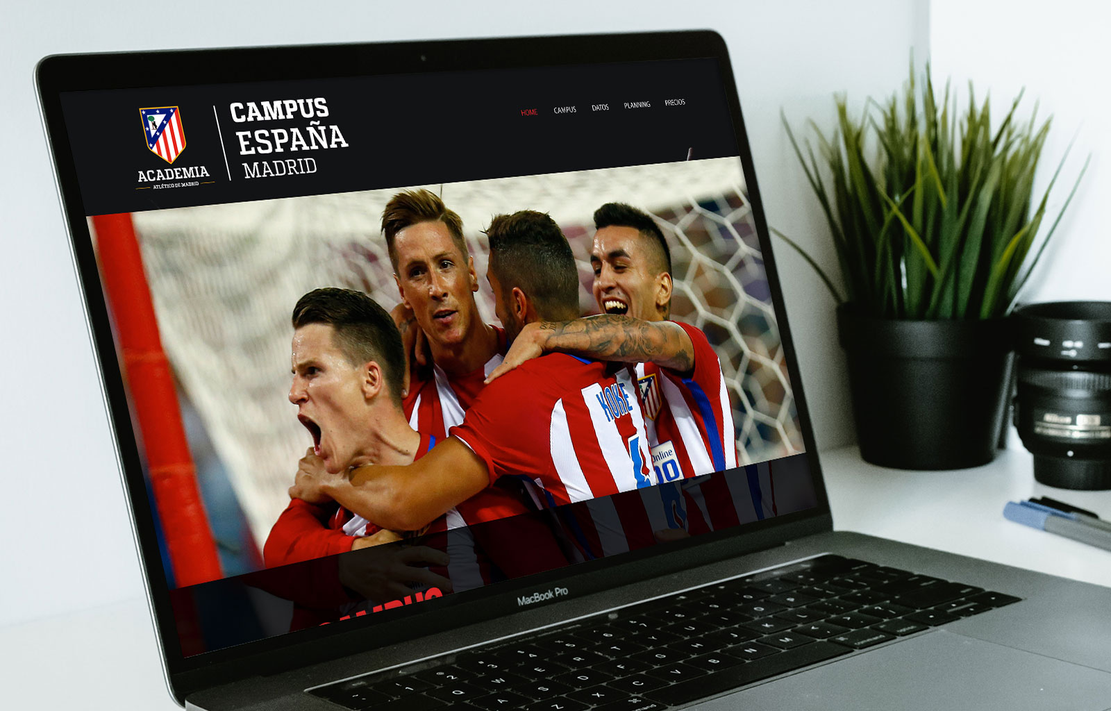 diseño y desarrollo web