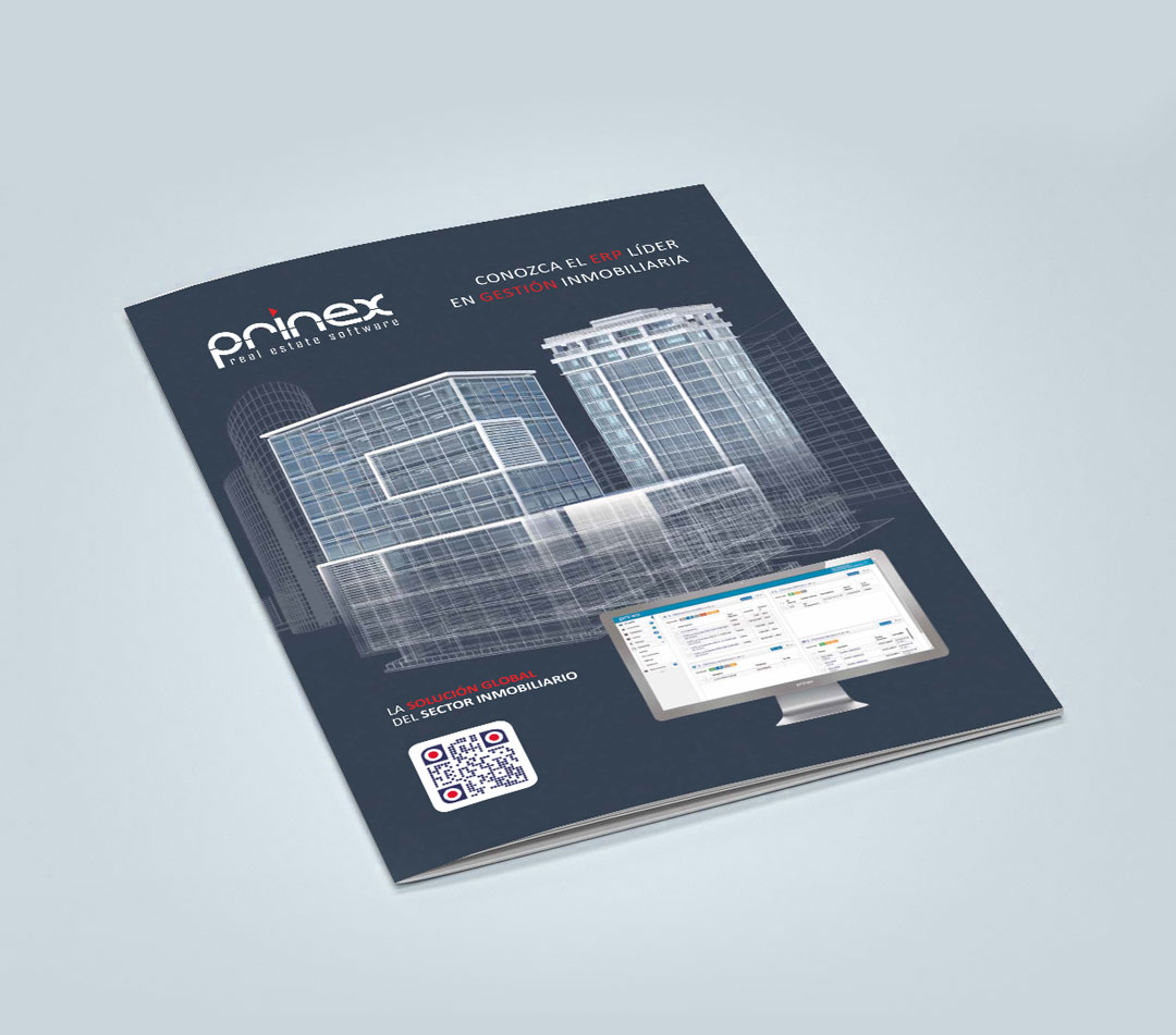 thumbnail-catalogo-desarrollo-web-rrss-prinex-real-state